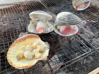 ゆりあげ港朝市の写真・動画_image_456900