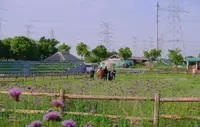 尋夢園香草農場の写真・動画_image_457096