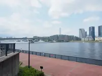 CITABRIA BAYPARK Grill＆Barの写真・動画_image_457163