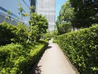 有明北緑道公園の写真・動画_image_457174