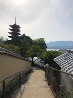 牡蠣祝の写真・動画_image_457356
