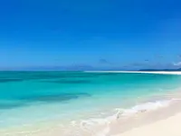 ハテの浜の写真・動画_image_457374
