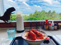 笑島(わしま)の写真・動画_image_457389