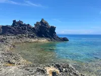 ミーフガーの写真・動画_image_457392