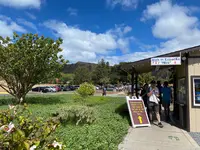 ダイアモンドヘッドを登ろう！の写真・動画_image_457436