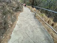 ダイアモンドヘッドを登ろう！の写真・動画_image_457438