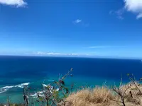 ダイアモンドヘッドを登ろう！の写真・動画_image_457439