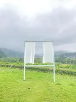 たくさんの失われた窓のためにの写真・動画_image_457467