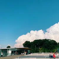 長野県立美術館の写真・動画_image_457496