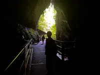 秋芳洞の写真・動画_image_457512