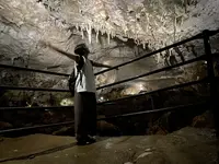 秋芳洞の写真・動画_image_457513