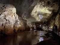 秋芳洞の写真・動画_image_457514
