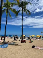 Waikiki Beach（ワイキキ・ビーチ）の写真・動画_image_457639