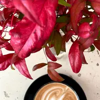 Bumbles Cafeの写真・動画_image_457768
