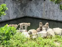 新竹市立動物園の写真・動画_image_457776
