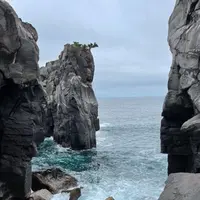 城ヶ崎海岸の写真・動画_image_457801
