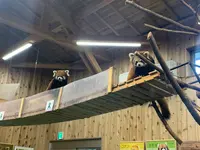 伊豆シャボテン動物公園の写真・動画_image_457805