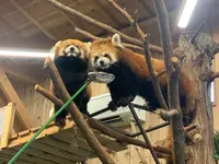 伊豆シャボテン動物公園の写真・動画_image_457806