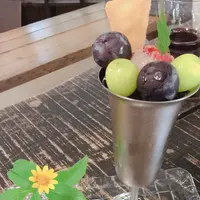 Jurin's Geoの写真・動画_image_458163