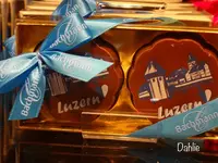 Bachmannの写真・動画_image_458171