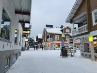 レヴィの写真・動画_image_458279