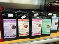 レヴィの写真・動画_image_458288