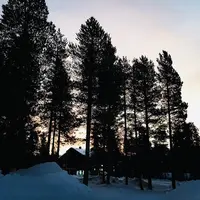 レヴィの写真・動画_image_458291