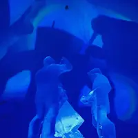 Snow Villageの写真・動画_image_458319