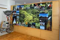 道の駅 ゆいゆい国頭の写真・動画_image_458367