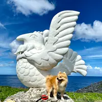 辺戸岬の写真・動画_image_458374