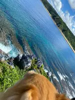 辺戸岬の写真・動画_image_458375