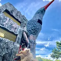 ヤンバルクイナ展望台の写真・動画_image_458378