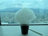 台北101展望台の写真・動画_image_458487