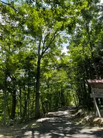 倶知安神社の写真・動画_image_458537