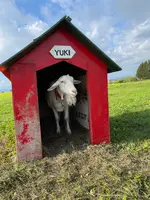 レークヒル・ファームの写真・動画_image_458560