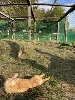 レークヒル・ファームの写真・動画_image_458561