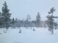 Myllyjoentie 2の写真・動画_image_458627