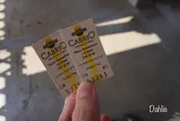 シュタンスの写真・動画_image_458787