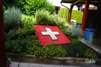 シュタンスの写真・動画_image_458792