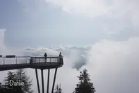 シュタンザーホルンの写真・動画_image_458899