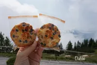 シュタンザーホルンの写真・動画_image_458906