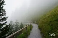 シュタンザーホルンの写真・動画_image_458918