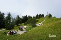 シュタンザーホルンの写真・動画_image_458924