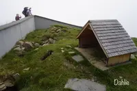 シュタンザーホルンの写真・動画_image_458929