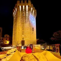 Torre dei Gualtieriの写真・動画_image_459019