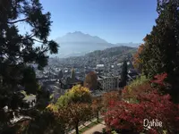 Museggmauerの写真・動画_image_459064