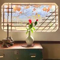 大松庵の写真・動画_image_459206