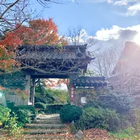 大松庵の写真・動画_image_459207