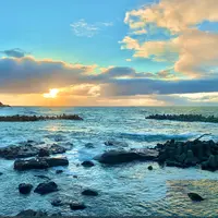 鶴岡市立加茂水族館（クラゲドリーム館）の写真・動画_image_459210