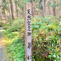 羽黒山五重塔の写真・動画_image_459238